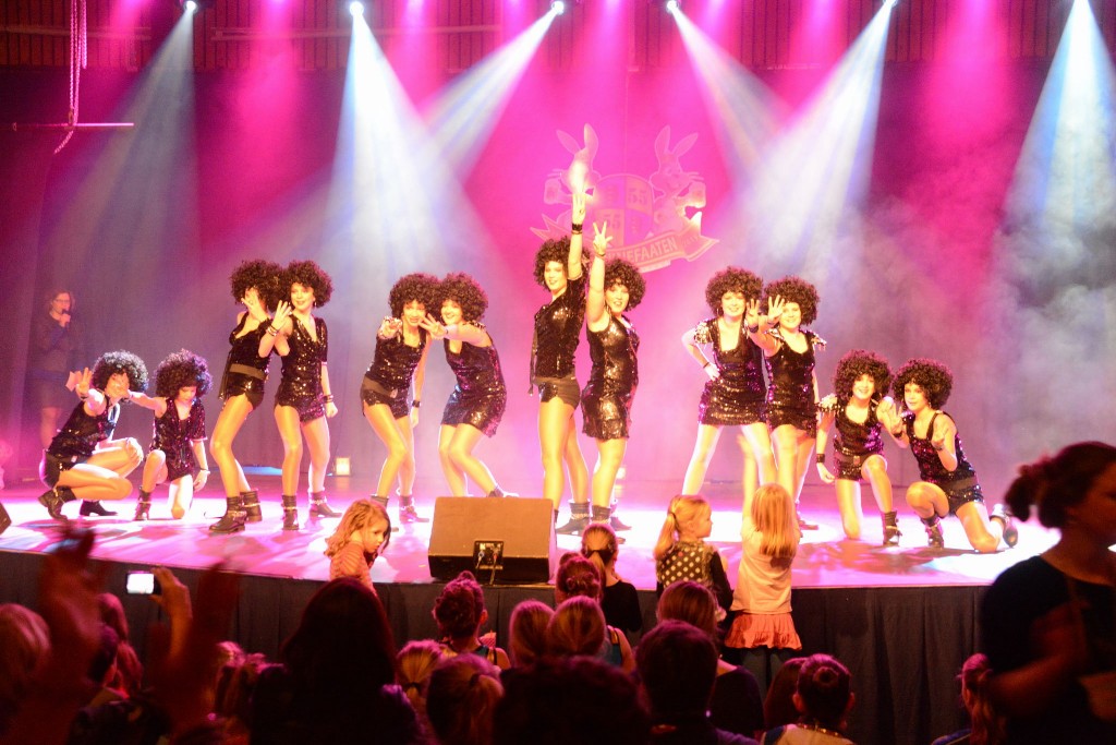 ../Images/Dansmarieke festival 2015 555.jpg
